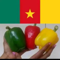 🌶️ Le piment rouge qui chauffe 237 uniquement🌶️