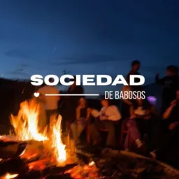 🪩  ⸝⸝   sᦅcı͜ᩧedad  de  babᦅsᦅs  !!