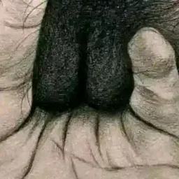 Vida Liberal sem Tábu  👄 🍆🍑🤤🤐