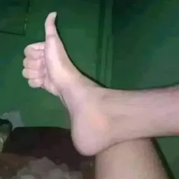 Máfia do assopro com som🦉🦅🐥🕊️🦜