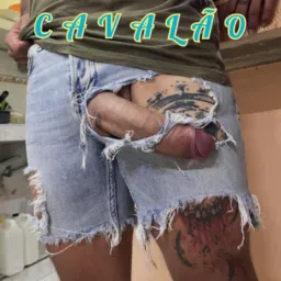CAVALÃO