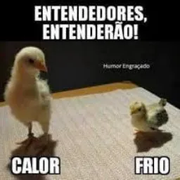 Para mulher que curte pau pequeno