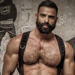 Ursos Tarados 🔥🌈🍆