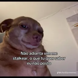 Minha cabeça de cima até queria alguém, mais a de baixo nunca vai deixa 😋💵
