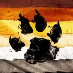 Osos, Maduros y &Gorditos Sabrosos🐾🐻🐼