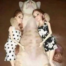 ⫷៚乡෴😈૯ทℓα૮૯ઽ y ૮ђατ ૯ℓ ʍαℓѳ 😈Ӂ៚⎠⎠෴⫸