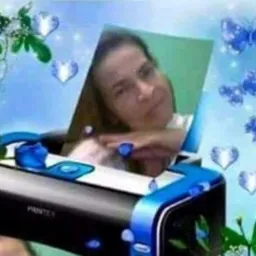 Safadeza 24h