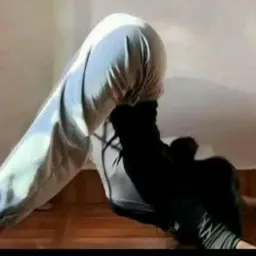 Porn 24hours