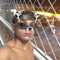 Conteúdo meu