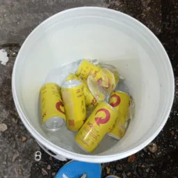 Putaria 24 horas