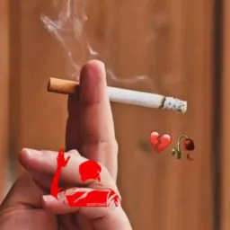 🥵Only sticker video photo viral group 😇