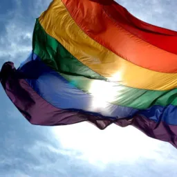 Gays de armário 🏳️‍🌈