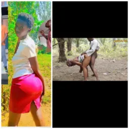 ZIM IN SOUTH SINGLES & HOOKUPS ONLY+27