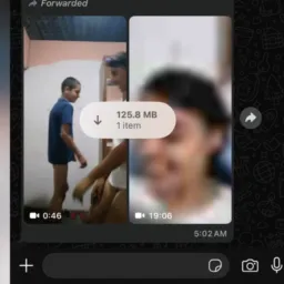 Desi leaked video