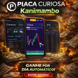 📈📊 PLACA CURIOSA 🔞💰