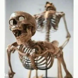 Para loco 😉🥵
