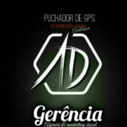 Acompanhantes 84