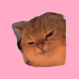 。◕‿◕。Putaria MIAUUUU 𝟐𝟒𝐇𝐫𝐬🔥😈