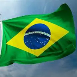 BRASILEIROS. (VENDA DE CONTEÚDO, AMIZADES E MUITO MAIS)