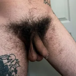 😈Pentelhudos