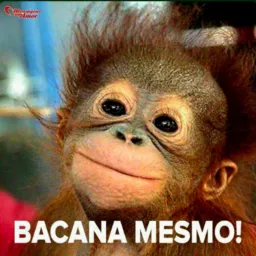 𝘾𝙖𝙗𝙖𝙧é 𝙙𝙖 𝙉𝙞𝙭  🍻