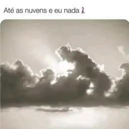 Solteiros se diverti a vontade  aqui vale tudo