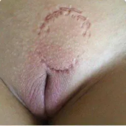 Sexo Selvagem🔥