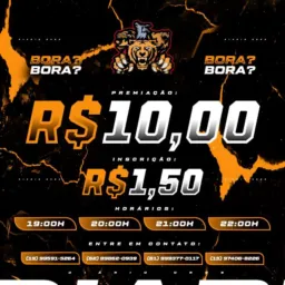 🔥 DIÁRIO ORGS🔥