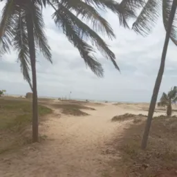 Cabaré aju