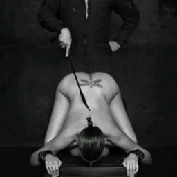 Alcatéia de estudo BDSM 24HR